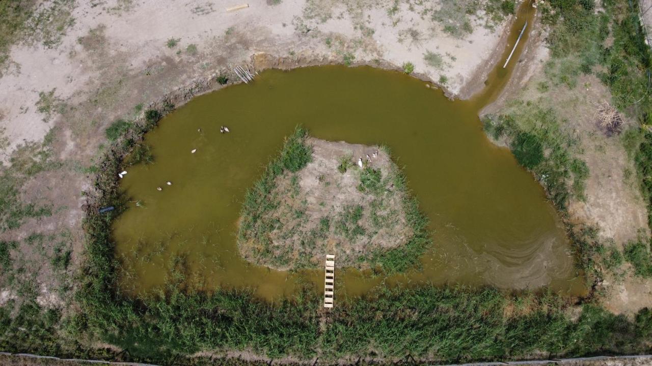 La Finestra Del Delta Casa de hóspedes L'Ampolla Exterior foto
